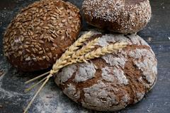 Sourdough Starter Speed Dating